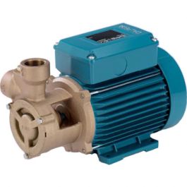 Buy Calpeda B-TM 61E Bronze Peripheral Booster Pump 240V